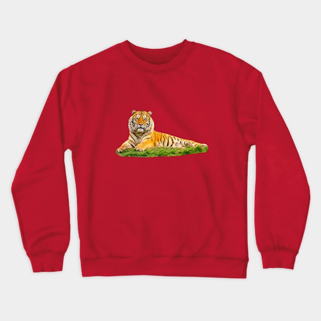 Siberian Tiger looking at YOU! Crewneck Sweatshirt by dalyndigaital2@gmail.com